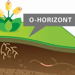 Avatar Info-Grafiken