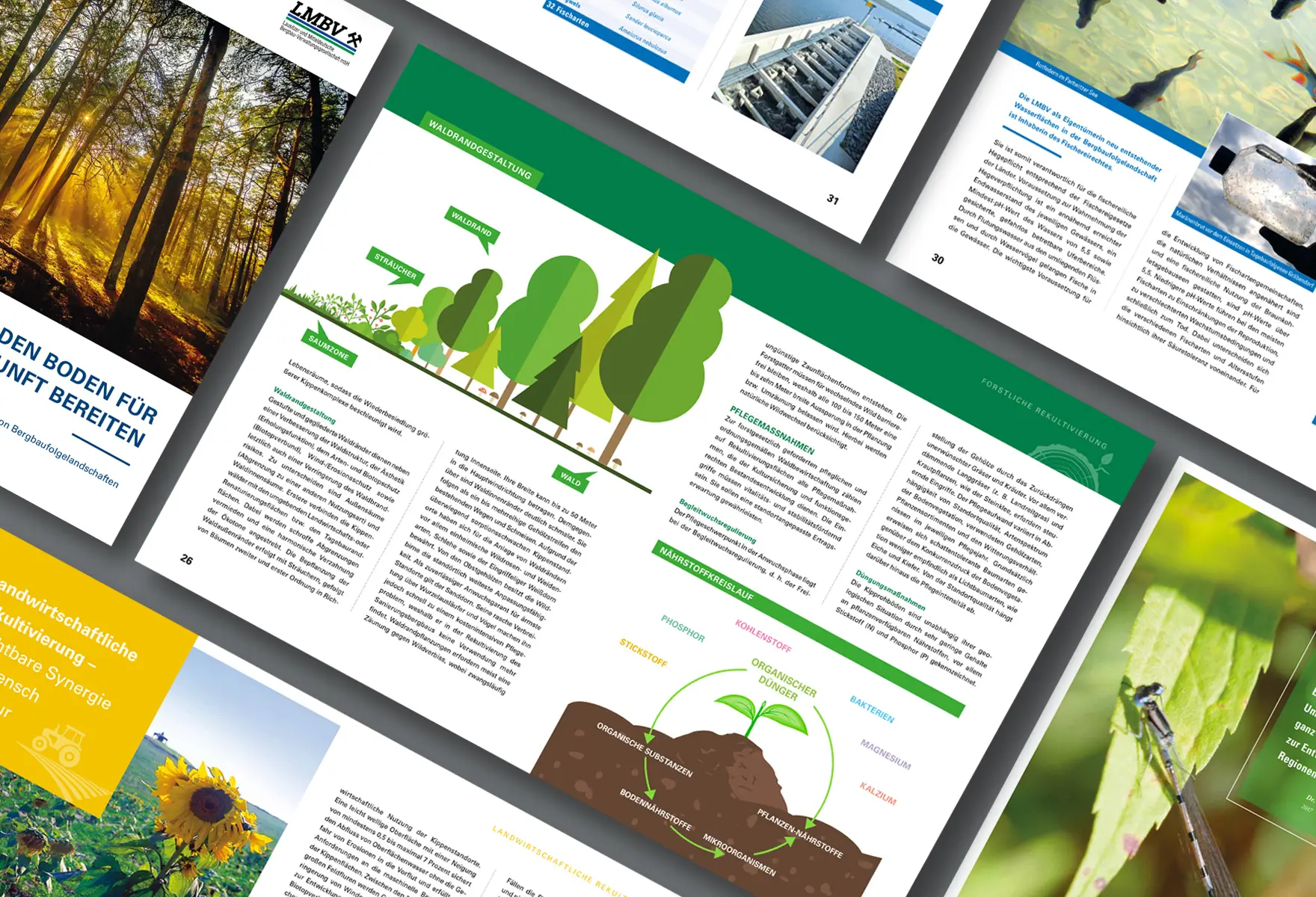 LMBV-Referenz Broschüre Rekultivierung